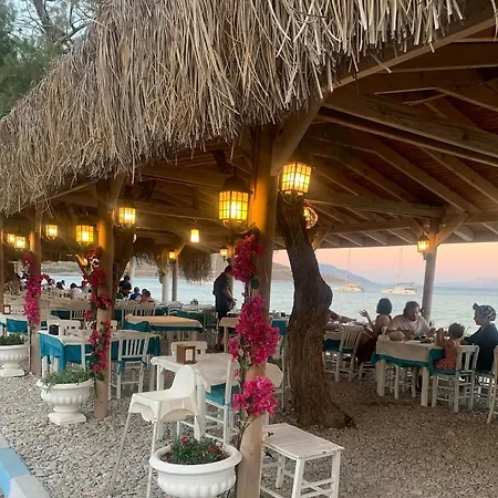 Avlu Palamutbuekue *